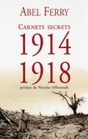 Carnets secrets 1914-1918 : Suivis de lettres et notes de guerre, Suivi de 46 lettres inédites