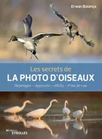 Les secrets de la photo d'oiseaux, Reportages, approche, affûts, prise de vue