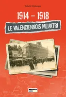 1914-1918, le Valenciennois meurtri