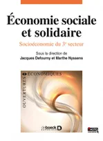 Économie sociale et solidaire, Socioéconomie du 3e secteur