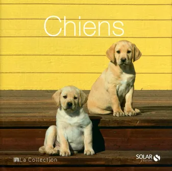 Chiens - La collection
