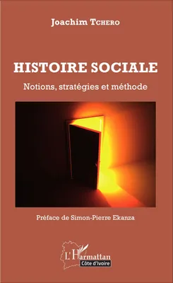 Histoire sociale, Notions, stratégies et méthodes