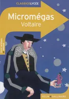 Micromégas, Histoire philosophique