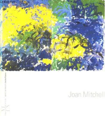joan mitchell, Galerie nationale du Jeu de paume, [Paris, 22 juin-11 septembre 1994], Musée des beaux-arts de Nantes, [24 juin-26 septembre 1994]