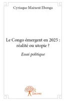 Le Congo émergent en 2025 : réalité ou utopie ?, Essai politique