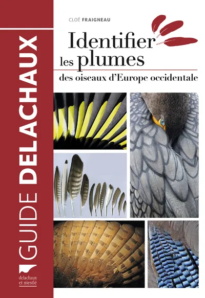 Livres Écologie et nature Nature Faune Identifier les plumes des oiseaux d'Europe occidentale Cloé Fraigneau