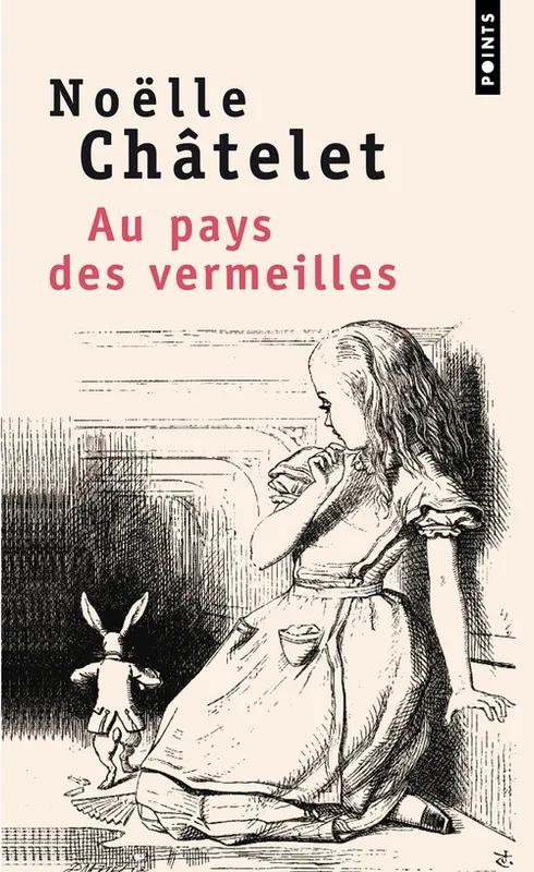 Livres Littérature et Essais littéraires Romans contemporains Francophones Au pays des vermeilles Noëlle Châtelet