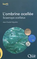 L'ombrine ocellée, Sciaenops ocellatus.