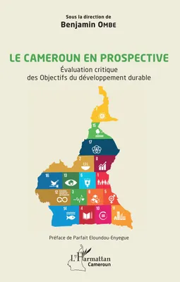 Le Cameroun en prospective, Évaluation critique des objectifs du développement durable
