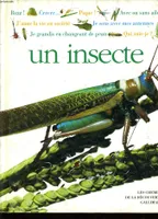 Un insecte
