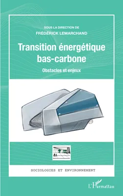 Transition énergétique bas-carbone, Obstacles et enjeux