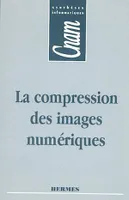 La compression des images numériques