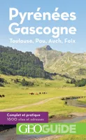 Pyrénées Gascogne, Toulouse, Pau, Auch, Foix