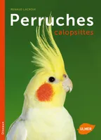 Perruches callopsites