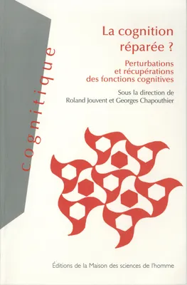 La cognition réparée ?, Perturbations et récupérations des fonctions cognitives