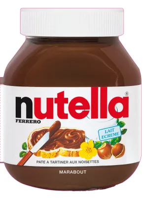 Livre forme magnet Nutella