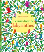 Le maxi-livre de labyrinthes