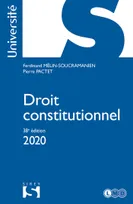 Droit constitutionnel 2020 - 38e éd.