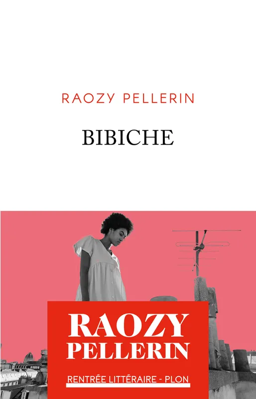 Livres Littérature et Essais littéraires Romans contemporains Francophones Bibiche Raozy Pellerin