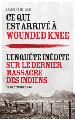 Ce qui est arrivé à Wounded Knee. L'enquête inédite sur le dernier massacre des indiens
