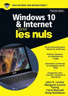 Windows 10 et Internet Mégapoche Pour les Nuls