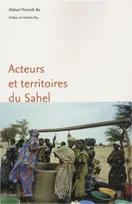 Acteurs et territoires du Sahel, Rôle des mises en relation dans la recomposition des territoires