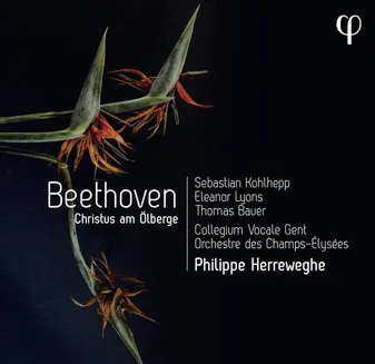 CD / Christus am Ölberge / Beethoven, / Collegium