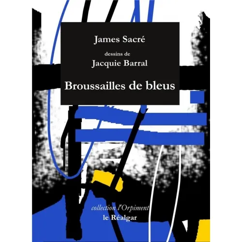 Livres Littérature et Essais littéraires Poésie Broussaille de bleus, Relation paysages James Sacré