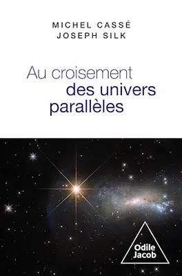 Au croisement des univers parallèles, Cosmologie et métacosmologie