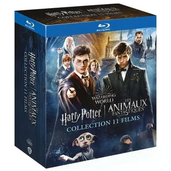 Coffret Wizarding World - Harry Potter / Les Animaux fantastiques - L'intégrale coffret 11 films - B