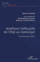 Améliorer l'efficacité de l'Etat au Cameroun, Propositions pour l'action