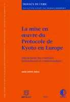 La mise en oeuvre du protocole de Kyoto en Europe, Interaction des contrôles international et communautaire