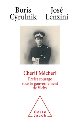 Chérif Mecheri, préfet courage sous le gouvernement de Vichy, Préfet courage sous le gouvernement de vichy