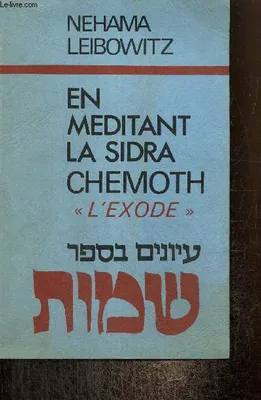 En méditant la Sidra Chemoth (Exode)