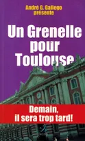 Un Grenelle pour Toulouse, demain, il sera trop tard