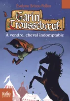 Garin Trousseboeuf, Garin Troussebœuf, IX : À vendre, cheval indomptable
