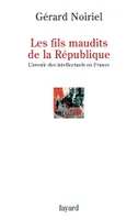 Les fils maudits de la République, L'avenir des intellectuels en France