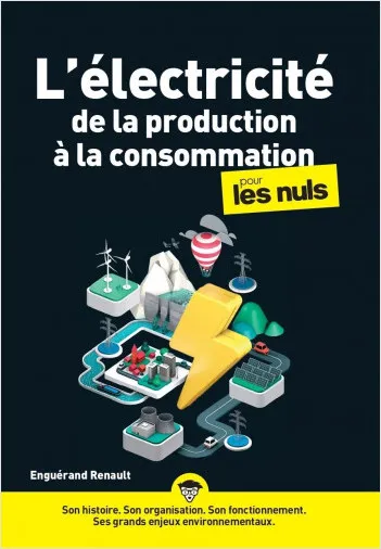 Livres Sciences et Techniques Sciences techniques L'électricité, de la production à la consommation pour les nuls Enguerand Renault