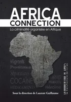 Africa connection, Le criminalité organisée en Afrique