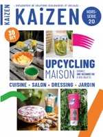 Upcycling, Kaizen