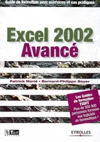 Excel 2002 avancé, guide de formation avec exercices et cas pratiques