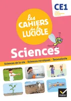 Les Cahiers de la Luciole CE1 - Ed. 2021 -  Découverte du monde - Programme marocain
