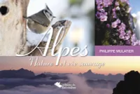 Alpes, nature et vie sauvage