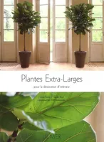 Plantes extra-larges, pour la décoration d'intérieur