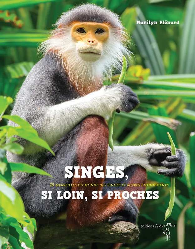 Singes, si loin, si proches , 25 merveilles du monde des singes et autres étonnements Marilyn Plénard