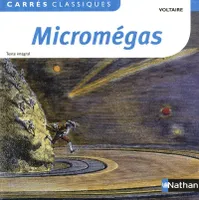 Micromégas- Voltaire - 17