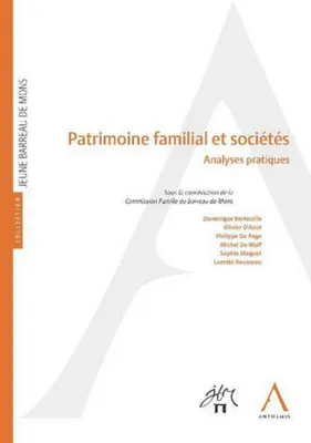 Patrimoine familial et sociétés ; analyses pratiques