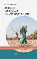 Afrique : les enjeux du développement, Les enjeux du développement