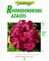 Rhododendrons et azalées, des variétés pour le balcon, la terrasse et le jardin...