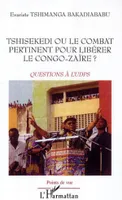 Tshisekedi ou le combat pertinent pour libérer le Congo-Zaïre ?, Questions à l'UPDS